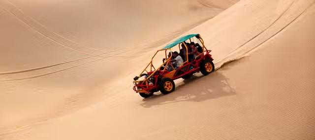 Full Day Tour Ica, Paracas, Islas Ballestas, Oasis de Huacachina y Ruta del Pisco + Almuerzo buggies y sandboarding