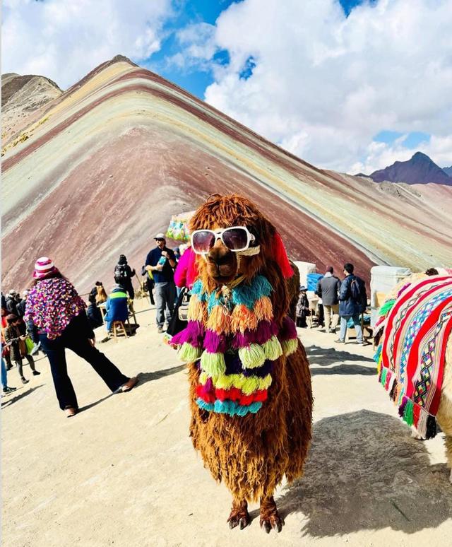 Full Day Tour Montaña de 7 colores (Incluye desayuno y almuerzo)